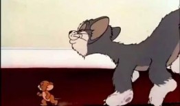 老板爆料杰瑞视频大全下载,杰瑞视频大全下载背后的秘密